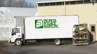 Tropical Foliage Plants truck
